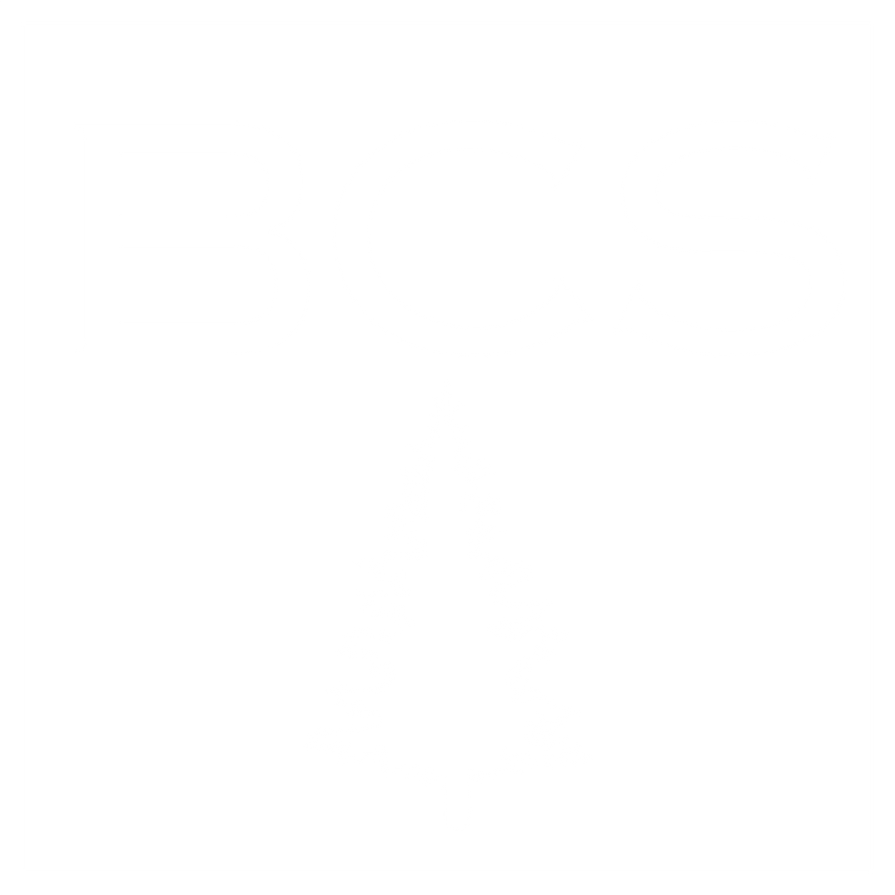 BCS Logo