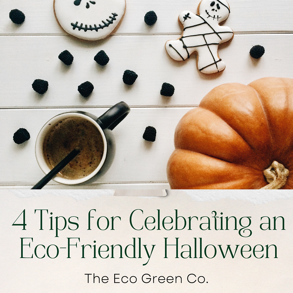 4 Tips for Celebrating an Eco-Friendly Halloween 