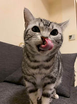 写真 2022-02-13 14 52 39_R.jpg