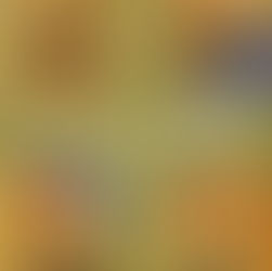 Finding Solace and Direction in a World Full of Chaos