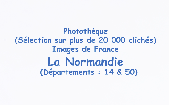 Capture d’écran 2022-03-29 à 17.42.02.png