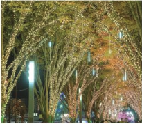 並木のイルミネーション