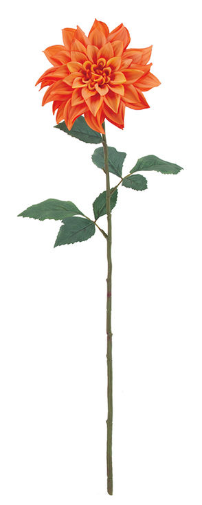 ecoダリア(オレンジ) FLS-5357