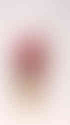 ダリアを使ったアレンジメント