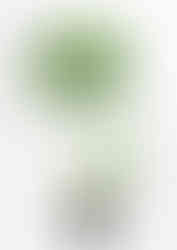 シェフレラポット（Ｓ）85cm