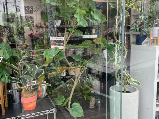 空間をデザインする、曲線美の「ウンベラータ＆アルテシマ」