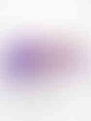 大房フジスプレイ (L)と(S)