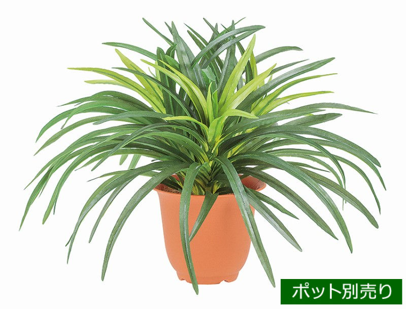 ドラセナブッシュ(ツートングリーン) LEB-8045 2TGR