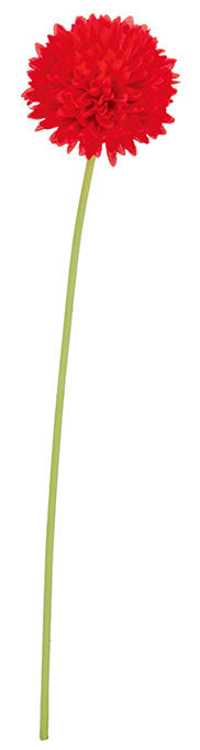 ポンポンマム(フレーム) FLS-5221