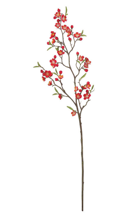 常陸の梅(レッド) FLS-5260-RD