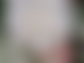 7月29日の花・ダリア