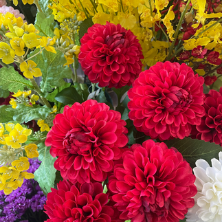 丸くて赤いダリア