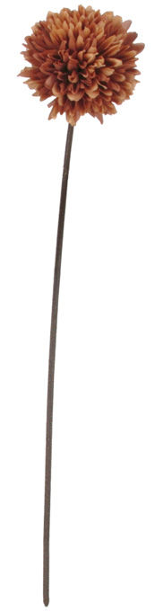 ポンポンマム(ラスト) FLS-5221