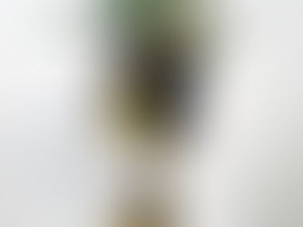 バナナツリー＆チンパンジー