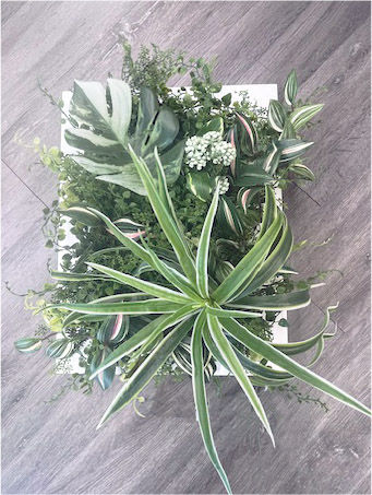 フレームグリーンパネル(ホワイト)WH