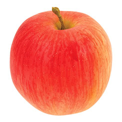 カタログのフジ VF*-1220