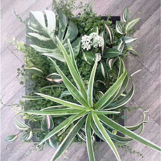 正面から見た完成した黒いフレームグリーンパネル