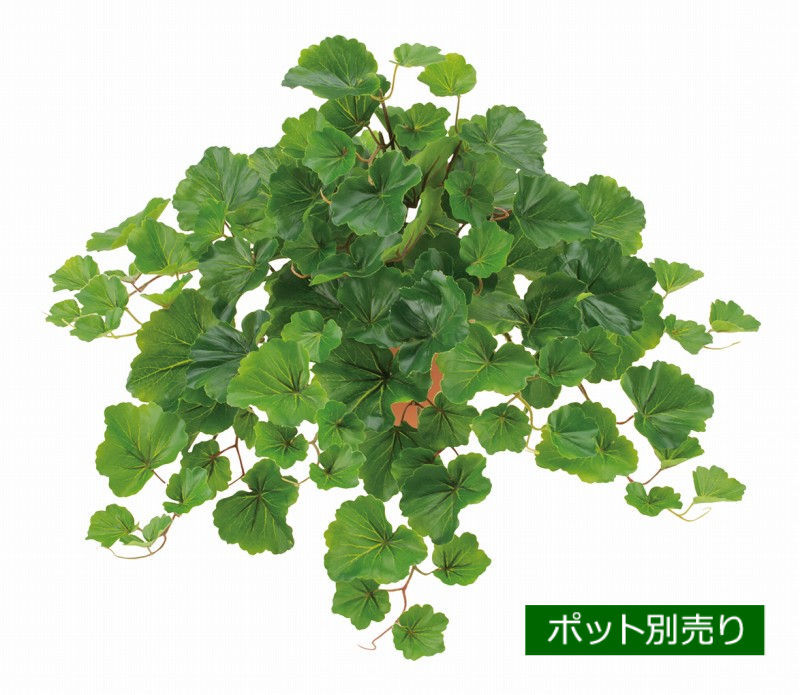 UVゼラニウムブッシュ(L) LEB-8381-L