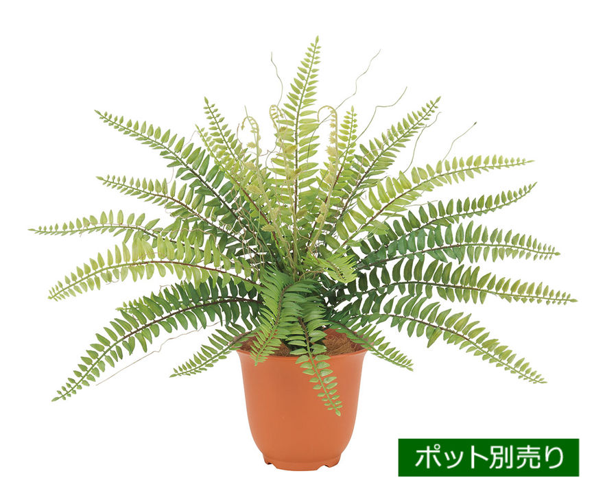 ミックスボストンファーンブッシュ(S) LEB-8339-S