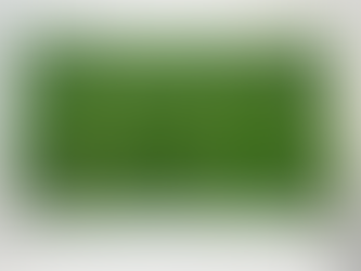 多きなフェイクグリーンパネル