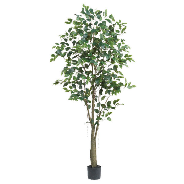 【送料無料】ファイカス(ポット付)A-51044/asca人工観葉植物 フェイクグリーン インテリア
