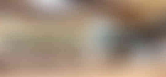 フェイクグリーンパネル横長2枚