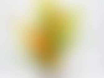 華やかさ抜群！オンシジューム