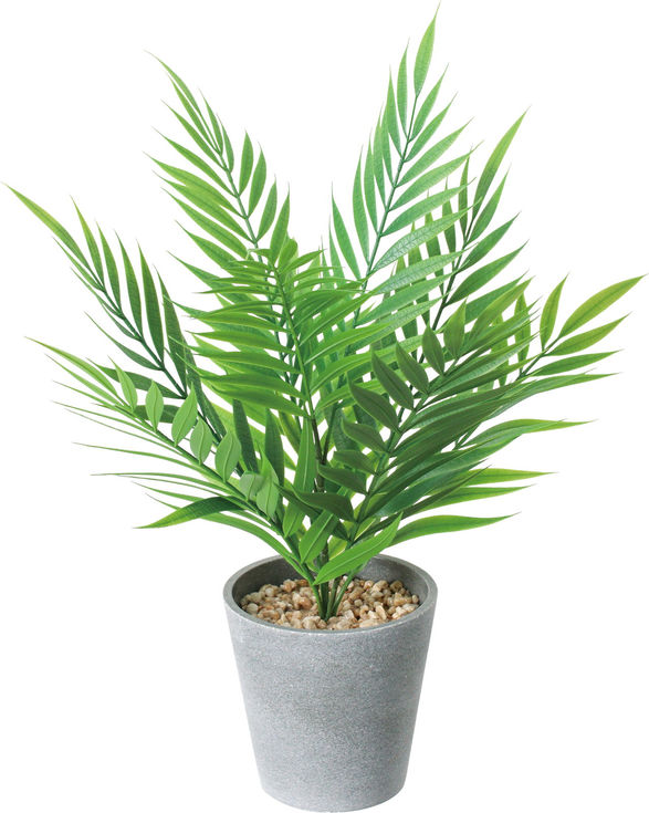 テーブルヤシポットGLA-1564