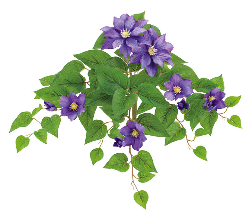 UVクレマチスブッシュ(パープル) FLB-8141