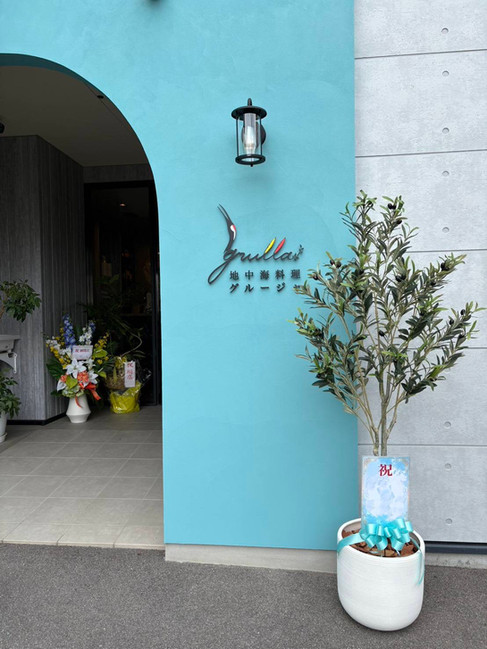 地中海料理グルージャの店先に置いたオリーブ