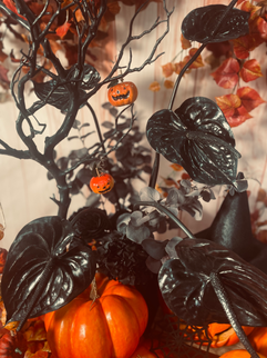 黒いアンスリウムと黒いユーカリ