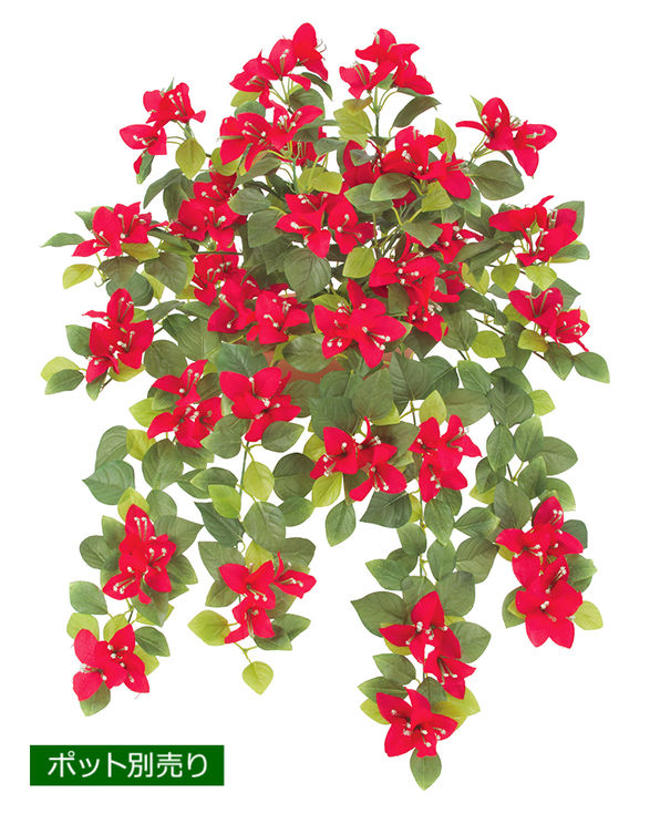 ブーゲンビリアブッシュ(レッド) FLB-8120