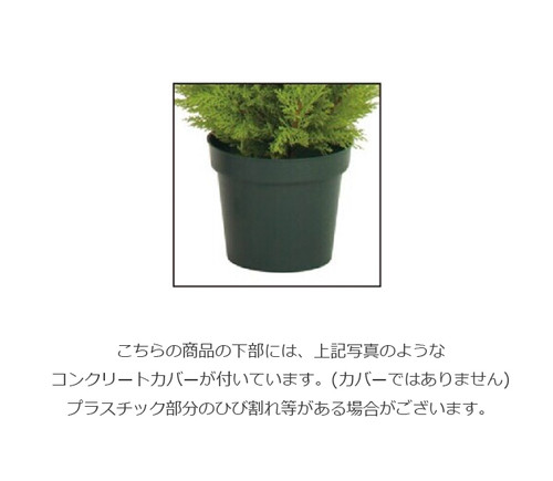 送料無料】180㎝ゴールドクレストツリー LET-2056／ドガ人工観葉植物
