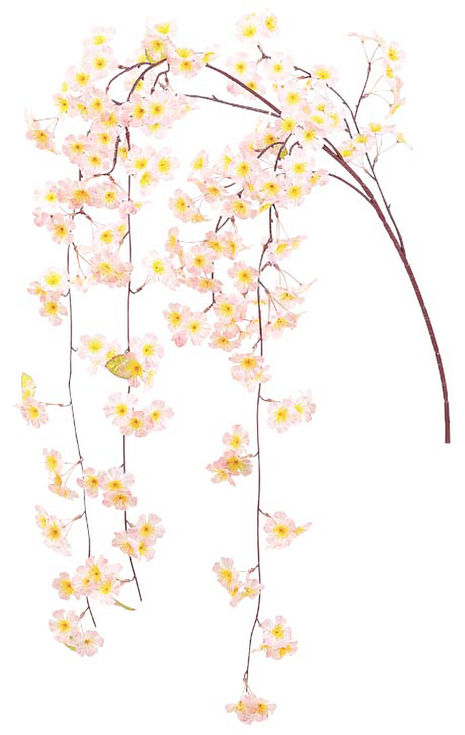 しだれ桜大枝 FLS-0669