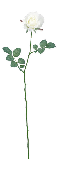 ミシェルローズ ホワイト FLS-0713