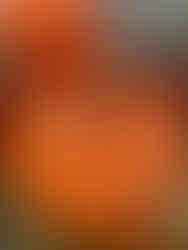 大きなカボチャのオブジェ