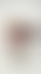 ③スモークツリー