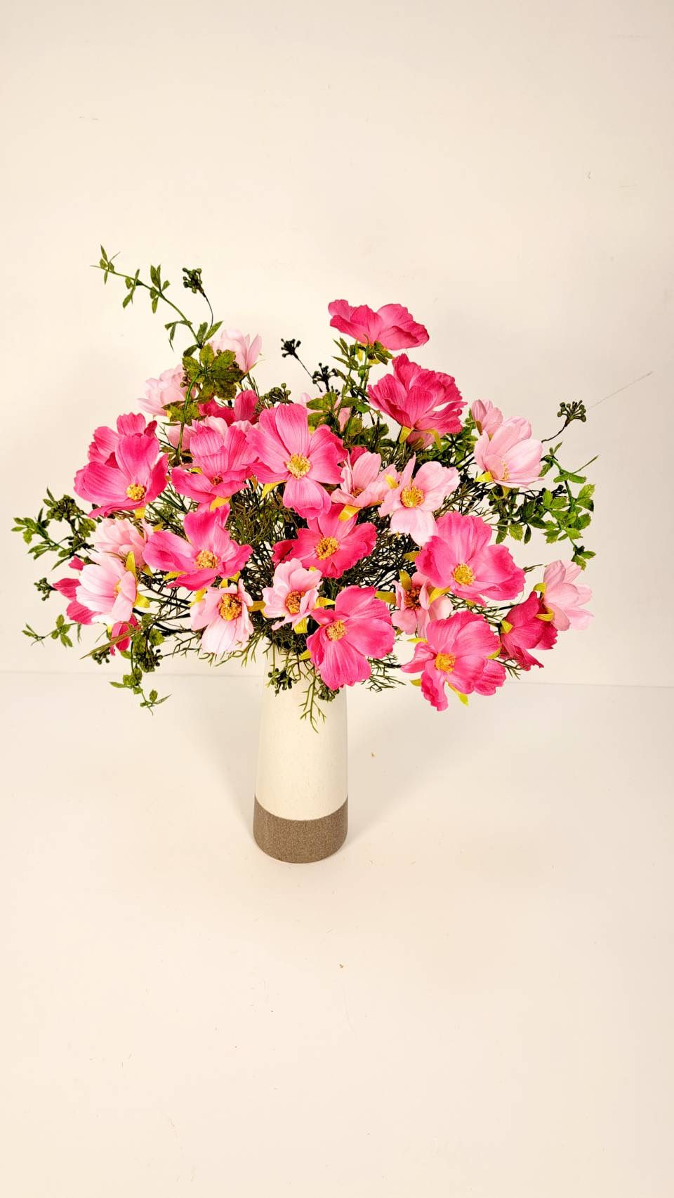 薄紅色のコスモス