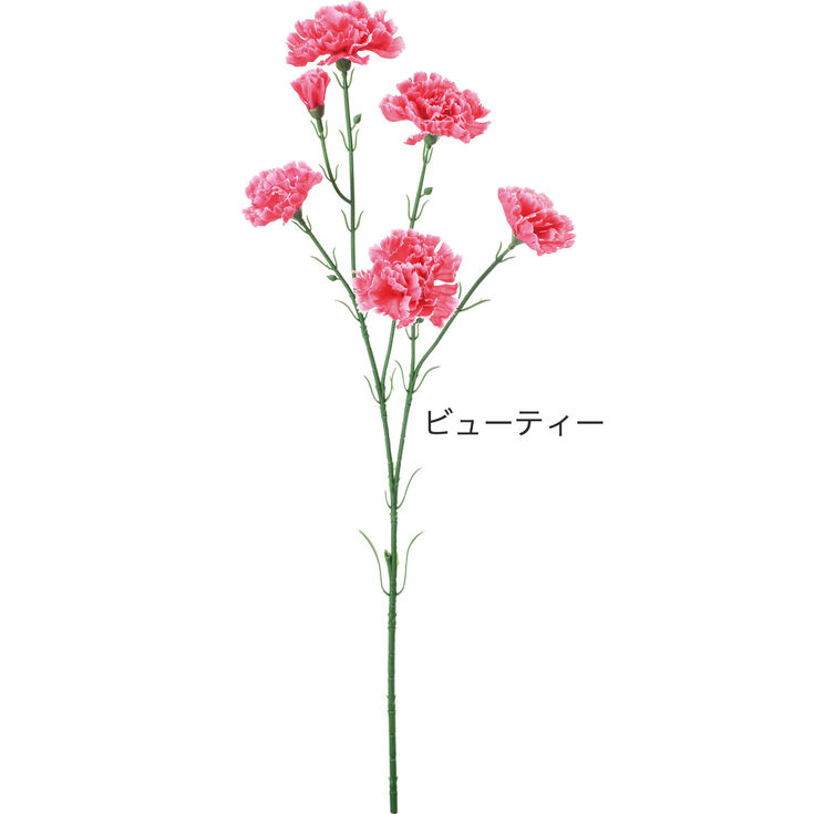 アンナカーネーションfa-7437/ビューティー