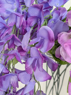 パープル色の藤の花びら