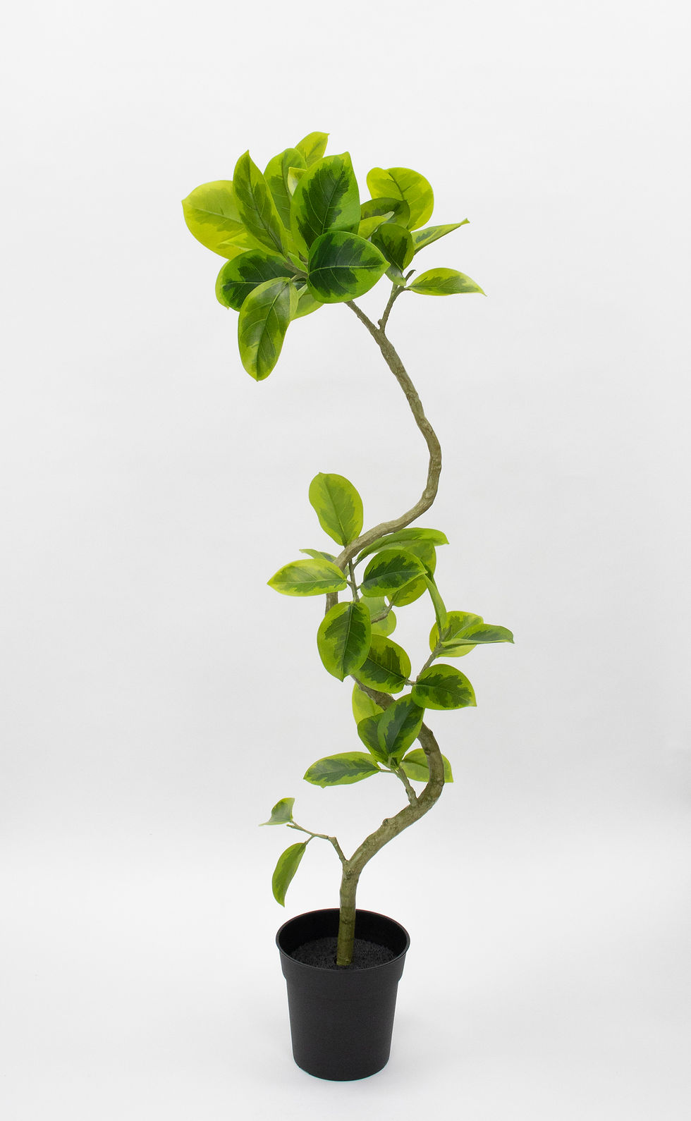 ツイストアルテシマポット122cm/VR23058