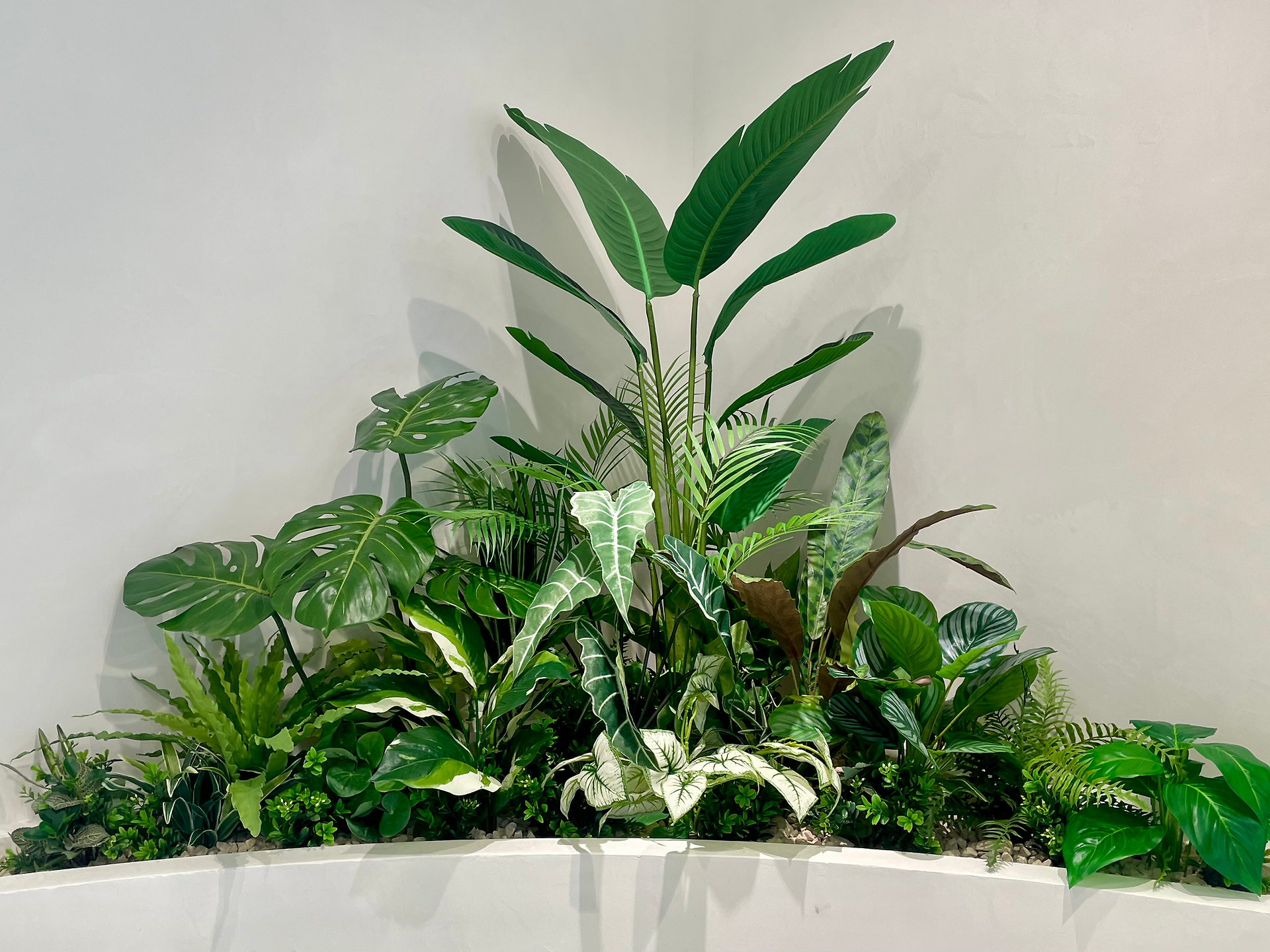 オーガスタを中心にしたジャングル植栽
