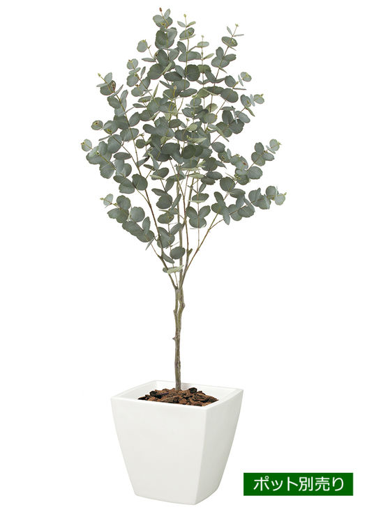 150cmユーカリツリー LET-2090