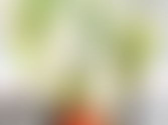 大切な人に贈る胡蝶蘭花束！