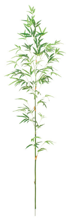 172cmバンブーツリー BT*-2027-L