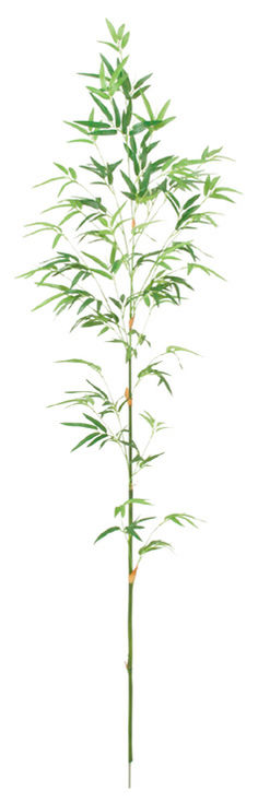 172cmバンブーツリー BT*-2027-L