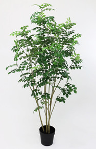 トネリコポット 170cm