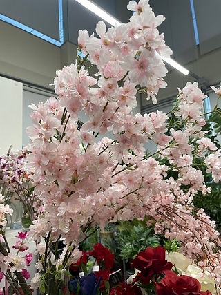 花びらがボリュームのあるプレミアム姫桜(ライトピンク) 