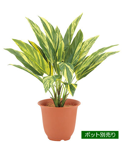 ウォータープルーフトラディスカンチャブッシュ LEB-8202