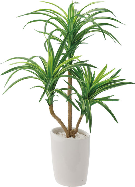 ロングユッカオーバルポット GLA-1230